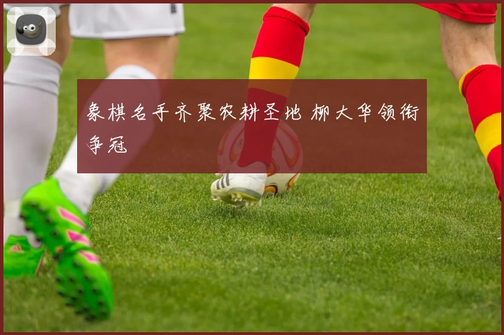 象棋名手齐聚农耕圣地 柳大华领衔争冠