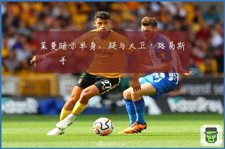 莱曼暗示单身，疑与大卫·路易斯分手
